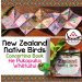 Concertina Book – New Zealand Native Birds