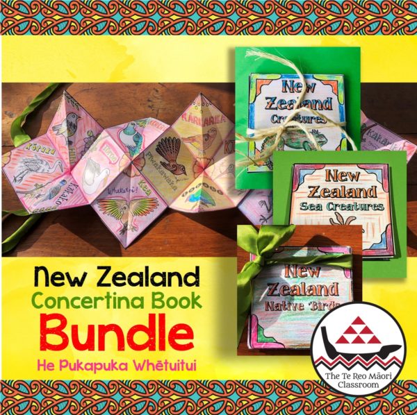 Concertina Book Bundle