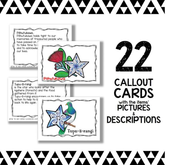 Matariki Callout Cards Matariki Callout Cards