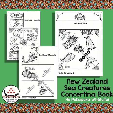 NZ Sea Creatures