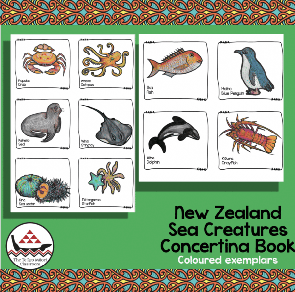 NZ Sea Creatures NZ Sea Creatures